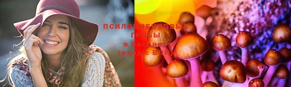 Альфа ПВП Абаза