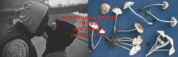 таблы Алзамай
