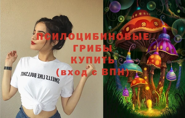 бутират Алексеевка